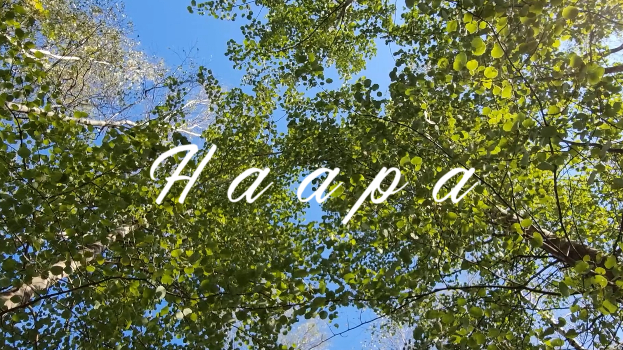 haaapa_2.1.1